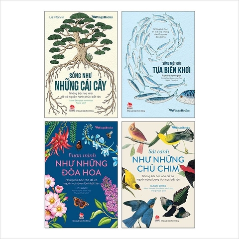 Combo 4 cuốn Những bài học nhỏ từ thiên nhiên - Sống một đời tựa biển khơi, Sống như những cái cây, Vươn mình như những đoá hoa, Sải cánh như những chú chim - NXB Kim Đồng