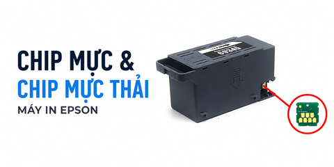 Chip mực và chip mực thải là gì?