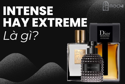 ▪️ 𝑰𝒏𝒕𝒆𝒏𝒔𝒆 𝒉𝒂𝒚 𝑬𝒙𝒕𝒓𝒆𝒎𝒆 𝒍𝒂̀ 𝒈𝒊̀?▪️