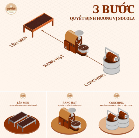 Chocolate, Vị Và Nguyên Do