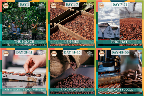 HÀNH TRÌNH 60 NGÀY: CHẤT LƯỢNG, KHÉP KÍN, ĐỘT PHÁ