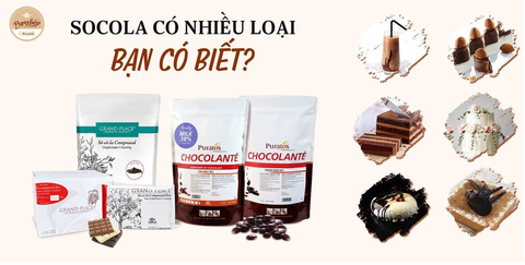 Khám Phá  Thế Giới Socola