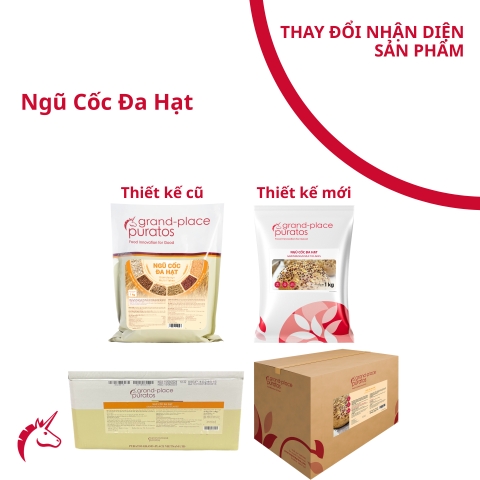 Bột Trộn Làm Bánh Ngũ Cốc Đa Hạt 1kg-4024615