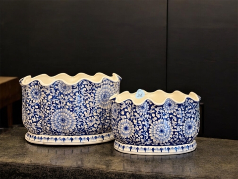 Ang miệng lượn vẽ NM S1