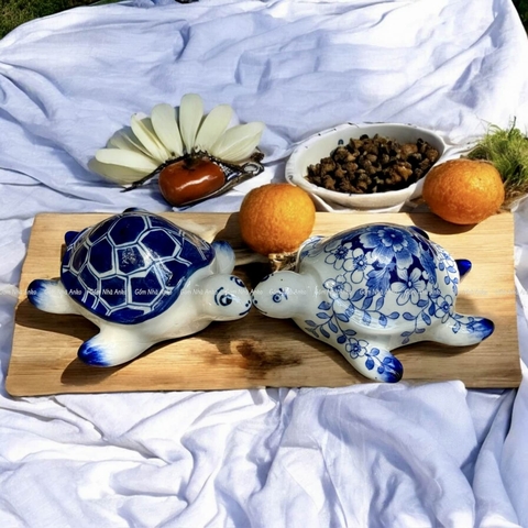 Rùa vẽ GM 8x16