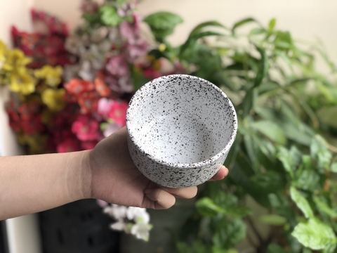 HM Chén Dotty 10.5x6.5