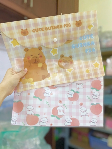 Bìa A4 Đựng Tài Liệu ND01449