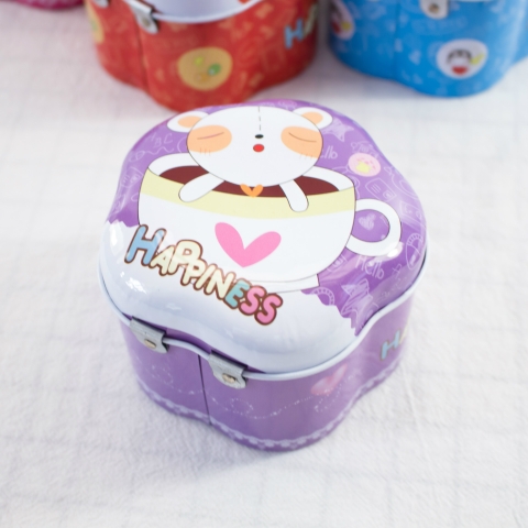 Hộp Sắt Đựng Tiền RC04814