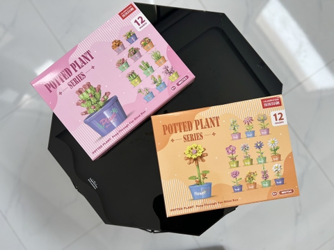 Hộp 12 Lego Hoa RC4119