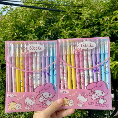 Hộp 12 Bút Bi Xoá Được Melody RC02407