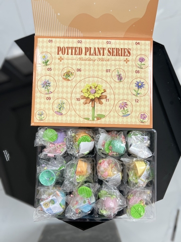 Hộp 12 Lego Hoa RC4119