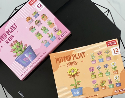 Hộp 12 Lego Hoa RC4119