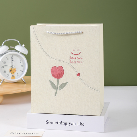 Túi Quà Dọc Size 19.5*14.5*10 cm RC831