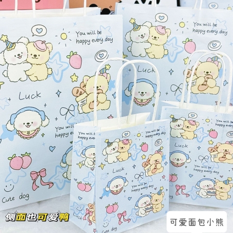 Set 10 Túi Giấy Size 13*17*14.5cm RC4363