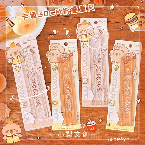 Set 10 Thước Gấp Capy 30cm R3425