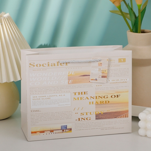 Túi Quà Phong Cảnh 24.5*9.5*20cm RC871