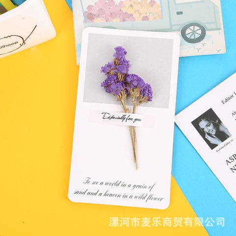 Set 10 Thiệp Hoa Khô RC1256