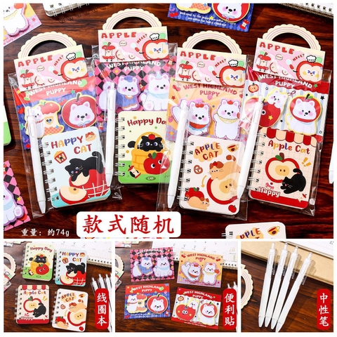 Bộ Dụng Cụ Học Sinh RCDCHT113