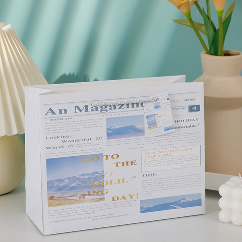 Túi Quà Phong Cảnh 24.5*9.5*20cm RC871