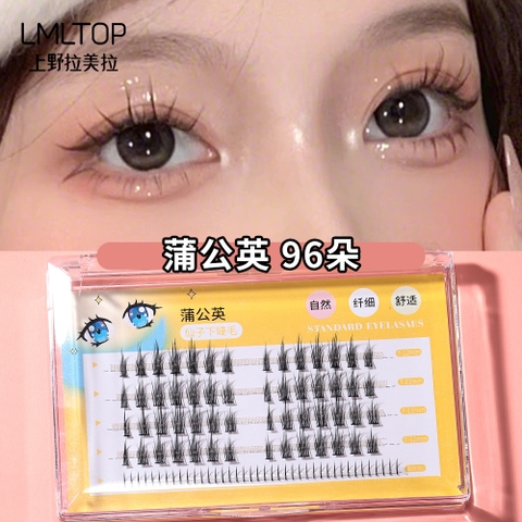 Hộp Mi Giả RC0383