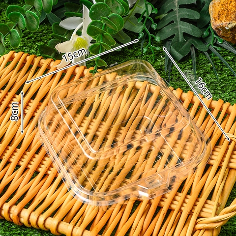 Lốc 50 Hộp TRong Suốt RC4110