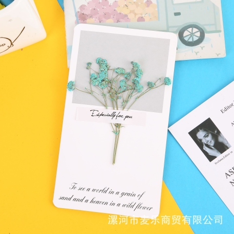 Set 10 Thiệp Hoa Khô RC1256