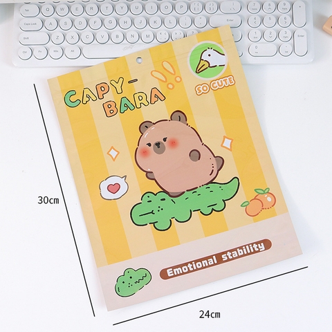 SET 10 VỎ TÚI MÙ