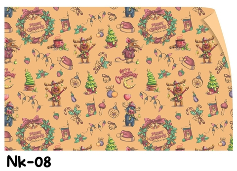 Ruy Băng In Chữ 1cm (Dài 5m) ND01868