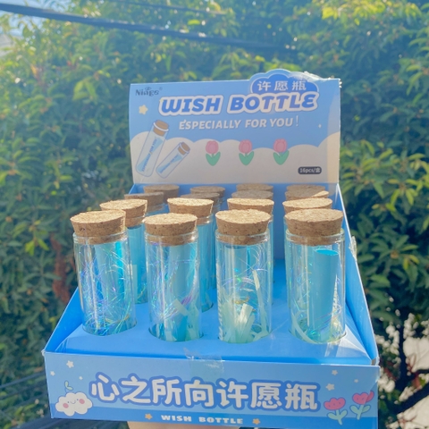 Lọ Điều Ước RC04152