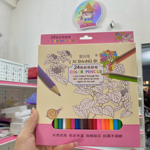 Hộp Màu Chì 24 Cây RC03920