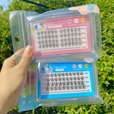 Hộp Mi Giả RC0383