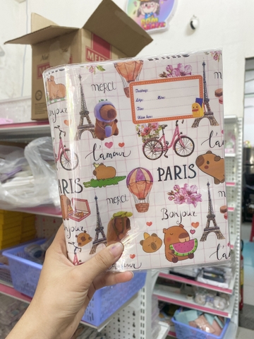 Sấp Bìa Bao Tập ND10