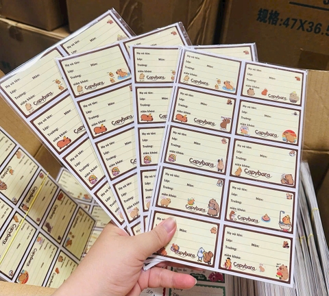Sấp 10 Nhãn Vở 10 Ô Capy ND22