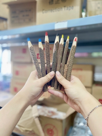 ( SET 12) Chì Màu Nhánh Cây NT146