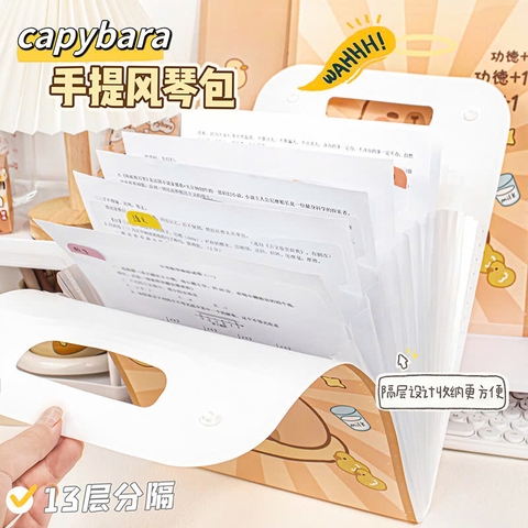 Bìa 13 Ngăn Dọc Đựng Tài Liệu N17