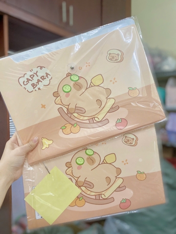 Bìa Đựng A4 ND01885