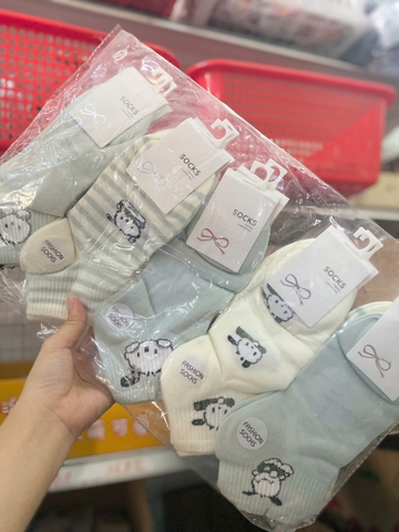 Vớ Ngắn Nữ ND0223