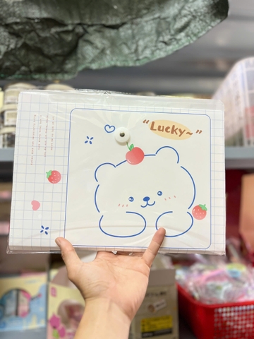 Bìa 8 Ngăn Có Thun Cài