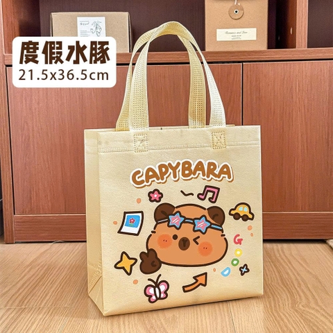 Túi Vải Capy RC3772