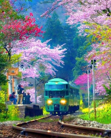 Cập nhật các đơn hàng Tháng 3 năm 2021