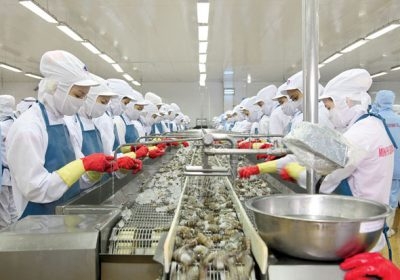 [ ĐƠN HÀNG THÁNG 6 /2021] - Chế biến hàu rồi đóng gói