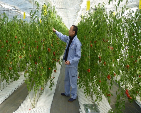 TUYỂN 1 NAM NÔNG NGHIỆP (LÀM VƯỜN) - AICHI