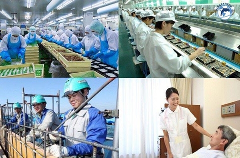 Thông báo tuyển dụng các đơn hàng thị trường Đài Loan tháng 4 năm 2022