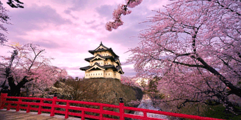 Nhật Bản nơi trái tim tôi thuộc về.