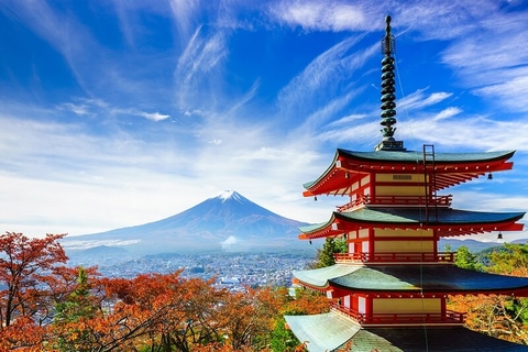 Bị viêm gan B có thể sang Nhật Bản du học hay làm việc, có đúng hay không?