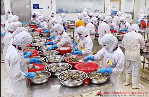 [ ĐƠN HÀNG THÁNG 6/2021 ] - Chế biến Hàu Hiroshima