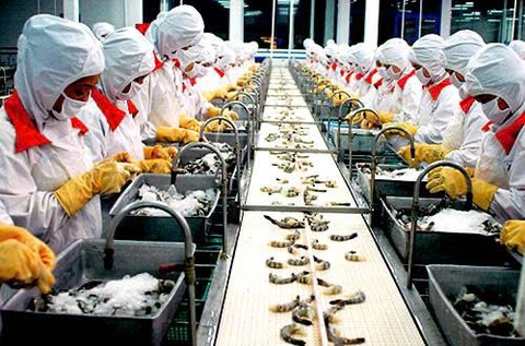 Tuyển 03 nữ chế biến thủy sản
