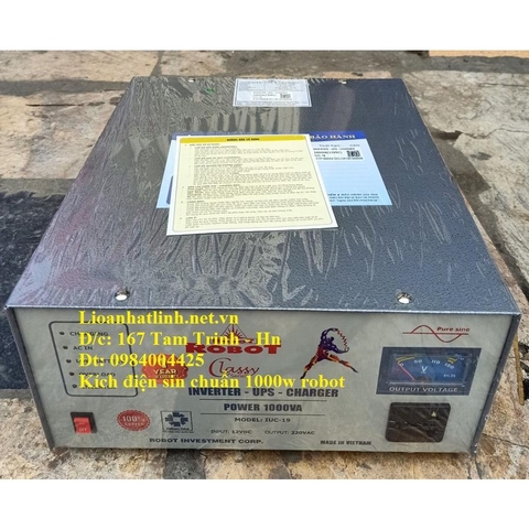 KÍCH ĐIỆN SIN CHUẨN 1000W - 1000VA ROBOT LOẠI TỰ ĐỘNG