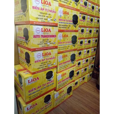 BỘ ĐỔI NGUỒN 220V SANG 110V - 100V - 120V LIOA