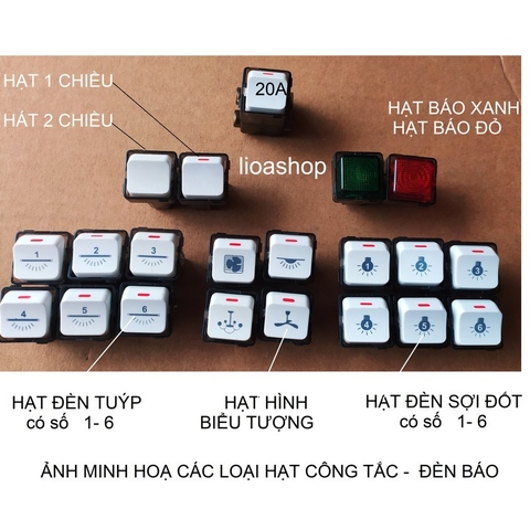 HẠT CÔNG TẮC LIOA, HẠT ĐÈN BÁO LIOA, ĐIỀU TỐC QUẠT TRẦN LIOA LẮP VỚI MẶT LỖ VUÔNG